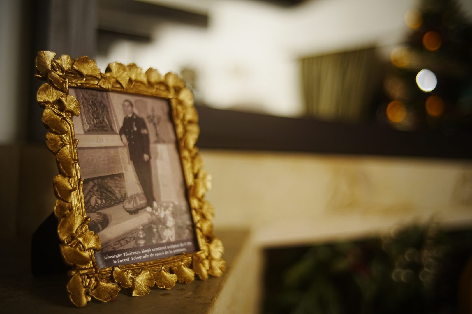 Casa Gheorghe Tătărescu din București: între memoria politică și continuitatea culturală a EkoGroup Vila